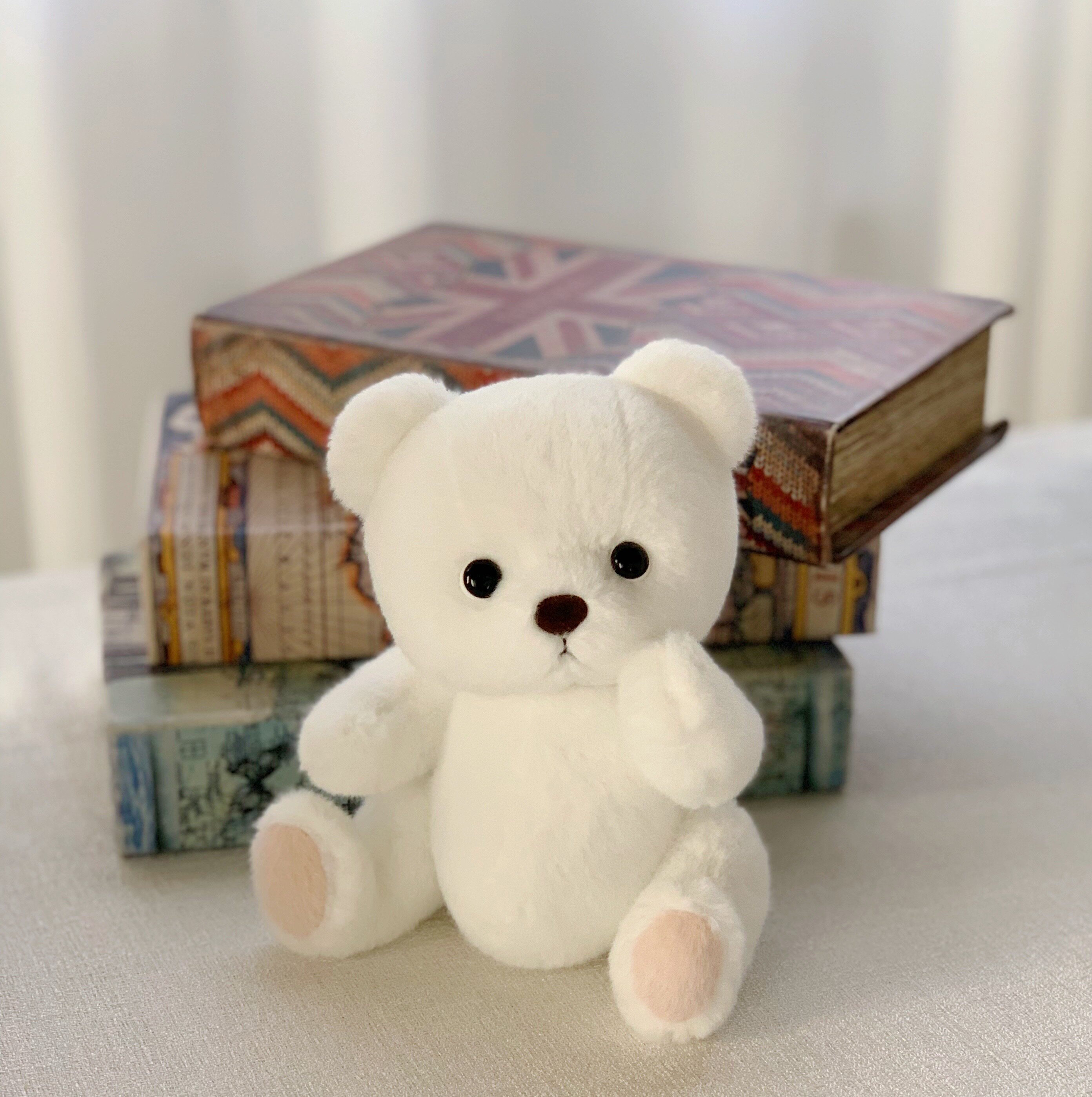 小号正版埃文熊evanbear关节可动泰迪熊玩偶安抚玩具儿童情侣礼物