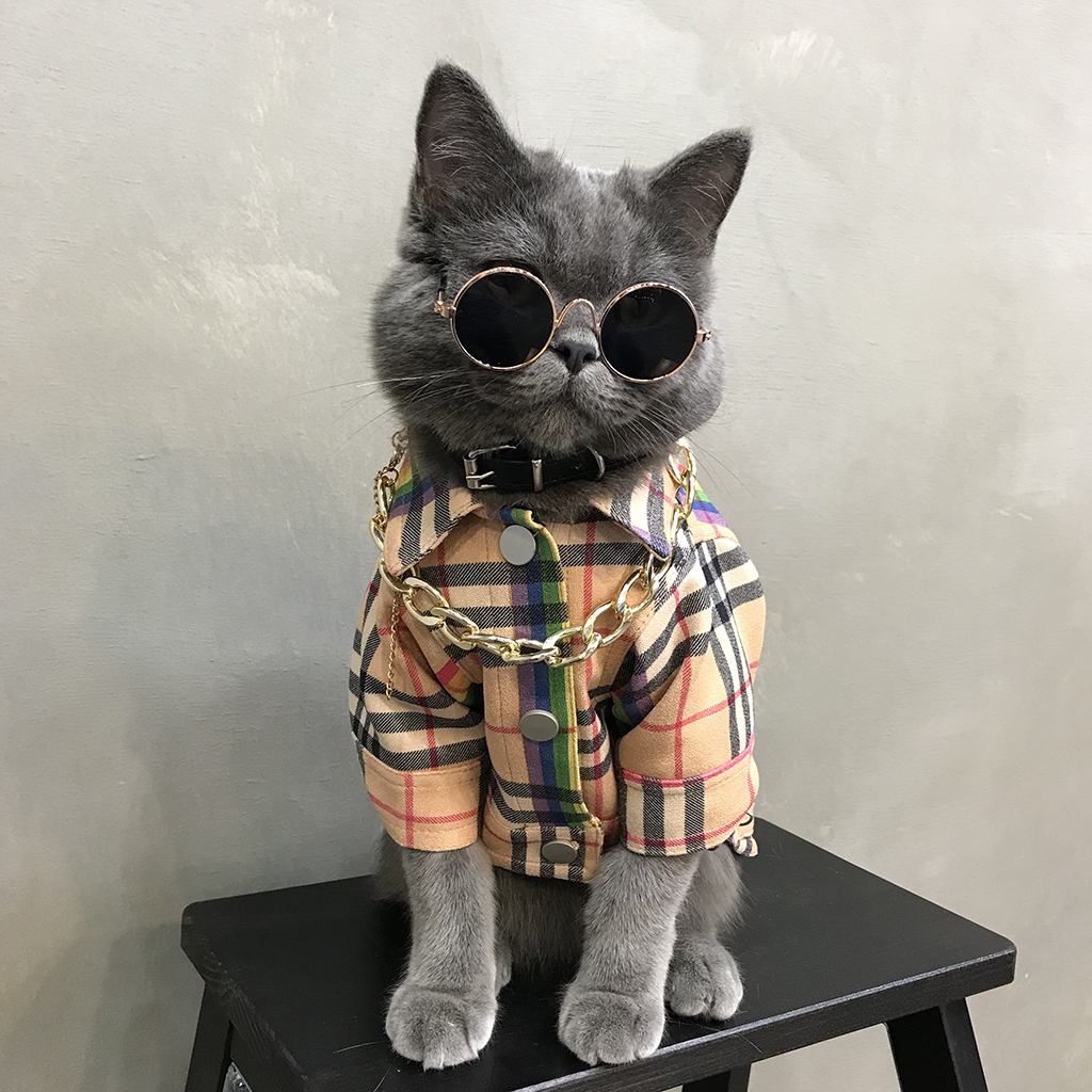 泰迪网红狗冬季衣服加厚宠物小奶猫衣服英短防掉毛加菲猫可爱冬装