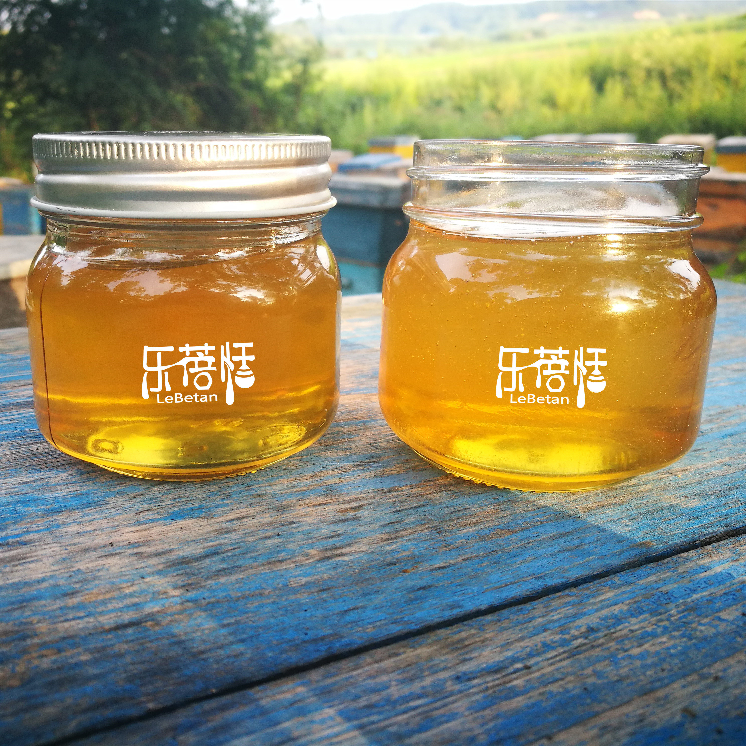 乐蓓恬 野生荆条花蜂蜜 纯正天然农家自产 小瓶蜂蜜 非500克