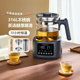Chigo/志高高端养生壶煮茶器家用恒温电热水壶蒸汽喷淋式泡花茶壶