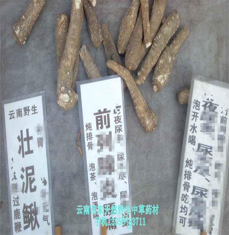 壮泥鳅:云南腾冲苗家特产野生中草药中药材 泡酒料 药酒料