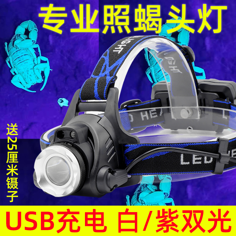 照蝎子专用灯头强光头戴式手电筒可充电照豆虫灯超亮紫光USB充电