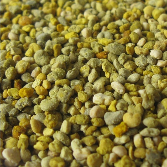 新精选优质天然益母草花粉蜂花粉