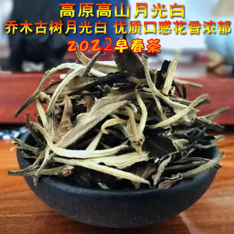 2022早春优质高原白茶 云南普洱