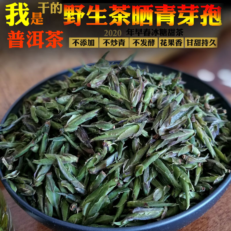 2020年野生古树普洱茶晒青芽孢茶