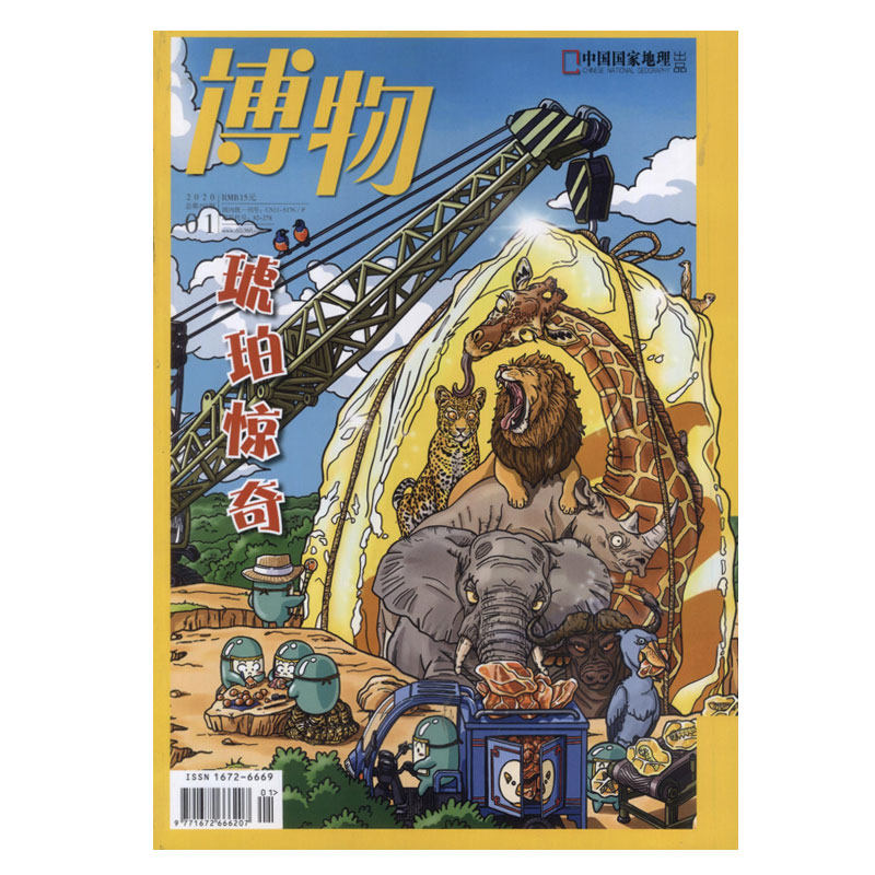 博物青少年科学科普自然课外阅读中小学生7-15岁年版青少期刊杂志