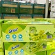 山姆正品代购 新奇士阳光玫瑰青提乌龙气泡茶饮料265ml