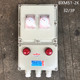 防爆照明动力箱 控制电源切断接线箱 BXMD51-2K 32/3P