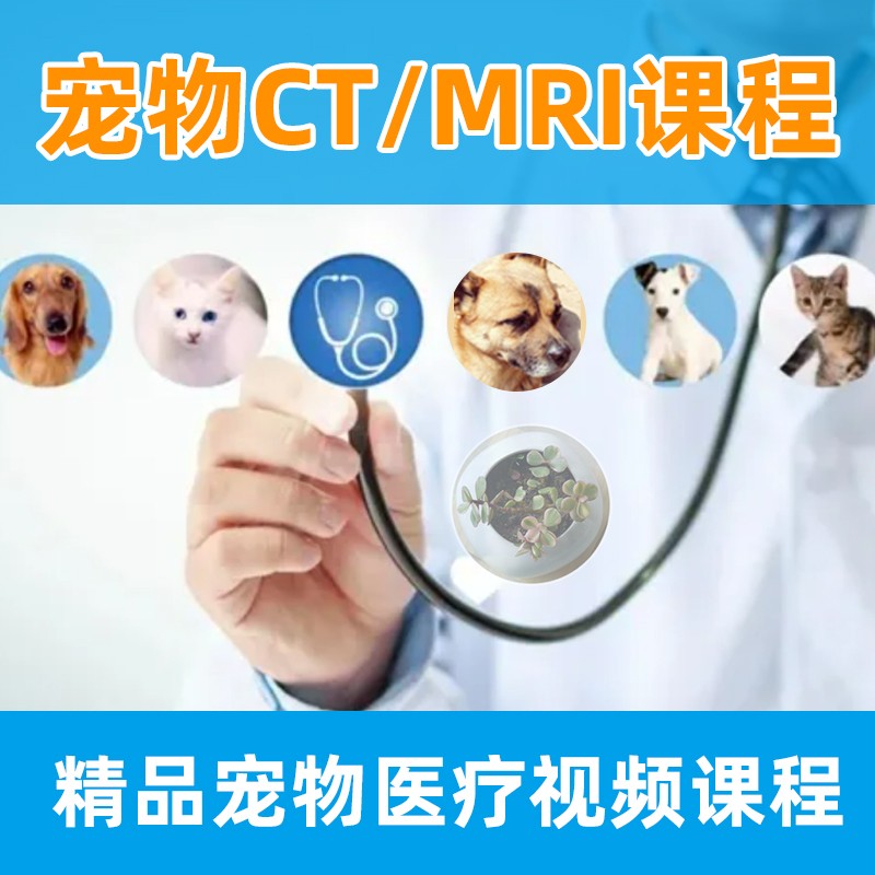 宠物犬猫ct mri核磁影像读片指导视频课程小动物影像学病例分析