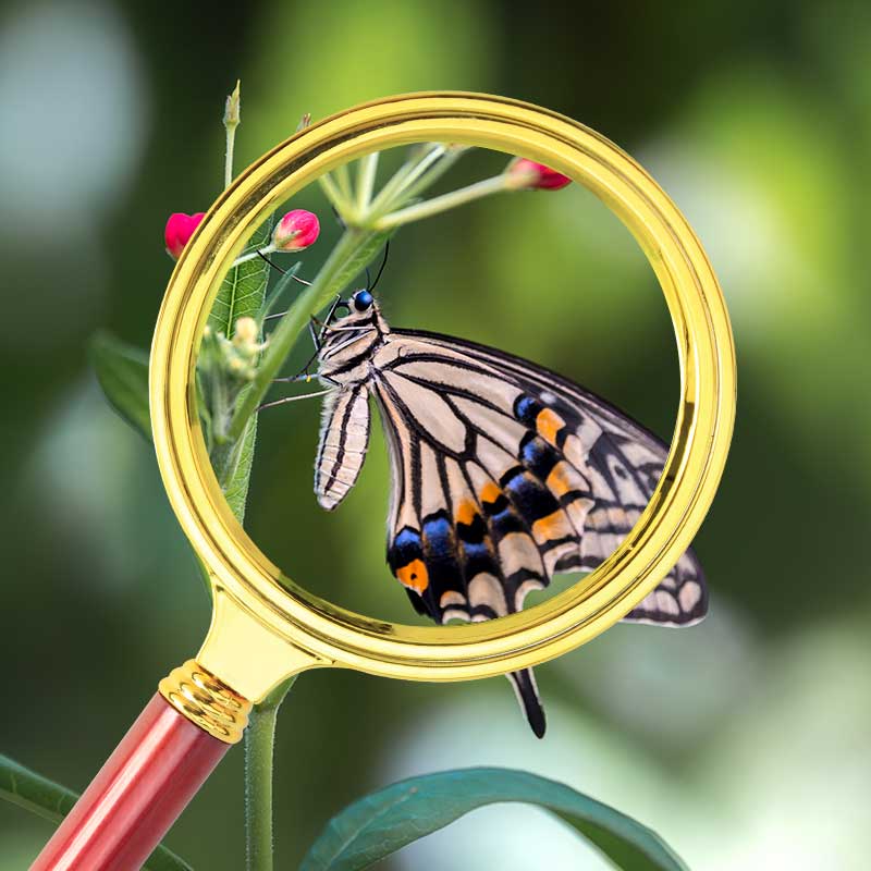 放大镜80mm儿童学生观察放大镜老人阅读看报高倍高清10倍放大镜