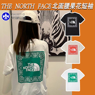 The North Face北面短袖女2024年夏季TNF腰果花T恤男纯棉NT7UN47A