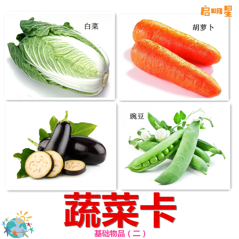 蔬菜卡片发育迟缓自闭症孤独症aba教学实操认训练卡片教具