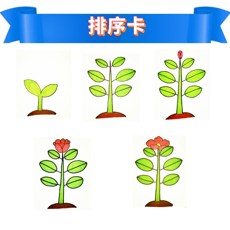 新款排序卡片3张5张多张排序发育迟缓儿童逻辑推理认知训练卡包邮