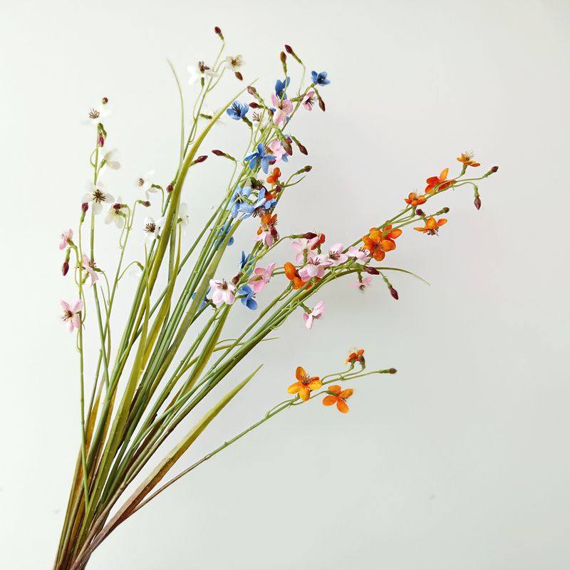 仿真花 韭莲 桔色线状花材 高仿 逼真 豆苗型 线莲科 自然系花材