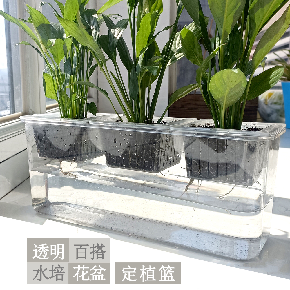 透明塑料储水花盆简约百搭水培土培定植篮种植阳台室内摆放绿萝