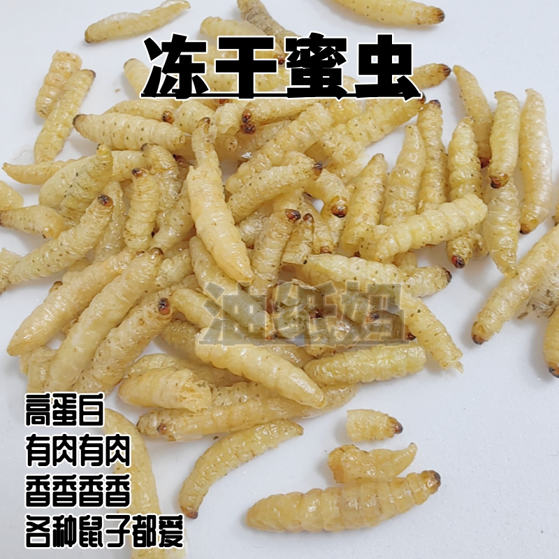 油纸妈仓鼠金丝熊零食冻干蜜虫葡萄虫补充蛋白质昆虫花枝鼠通心粉