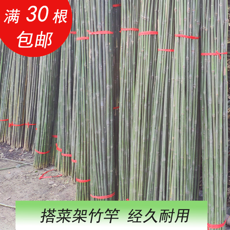 竹子1米2米細竹竿子菜園搭架子園藝竹杆粗籬笆彩旗杆豆角架楠竹子在類目 鮮花速遞/花卉仿真/綠植園藝, 園藝用品, 大型籬笆/柵欄中 - 來自Buy2taobao.com提供專業的淘寶代購服務