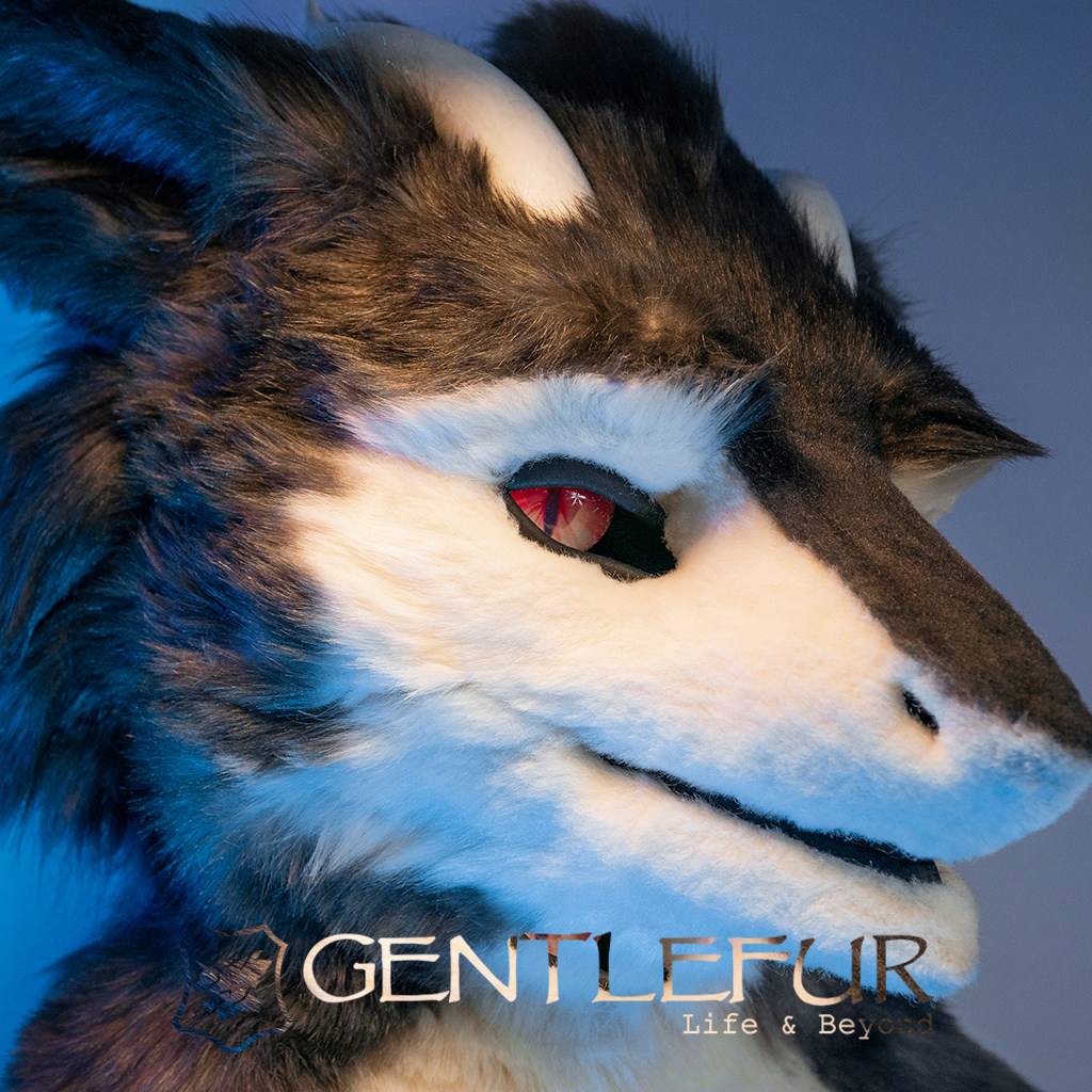 gentlefur兽装头套定做furry定制展示一一坏龙cosplay配件
