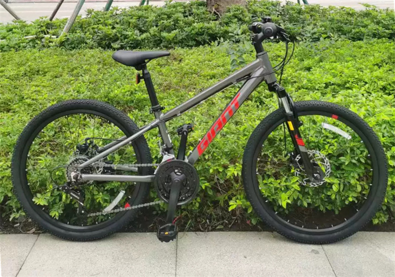 捷安特atx610全新青少年男女孩学生儿童双碟刹避震山地自行车24寸