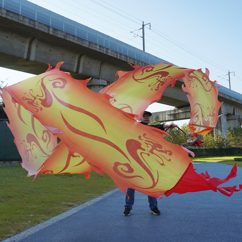 舞龙彩带舞健身龙带龙头甩龙耍龙广场舞中老年人舞龙道具儿童广场