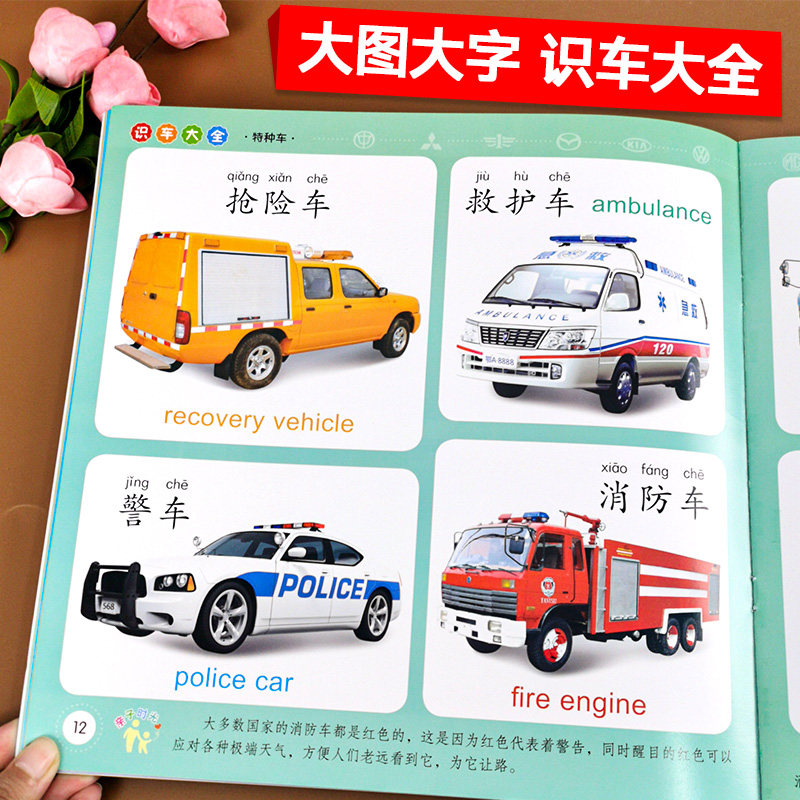 小树丫宝宝双语启蒙认知大全识车大全幼小衔接早教书快速识车常见车型