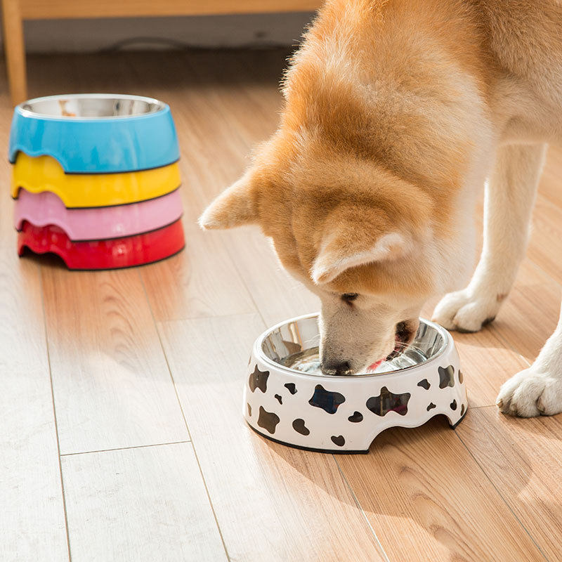 特价狗食盆大号大型犬 塑料