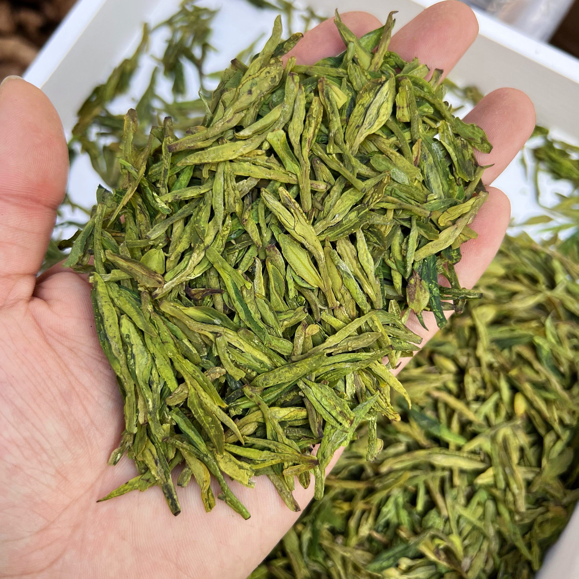 2022龙井43浓郁板栗香250克明前茶