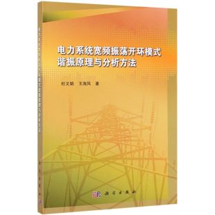 电力系统宽频振荡开环模式谐振原理与分析方法 杜文娟 王海风 科学出版社 电工技术 9787030581129新华正版