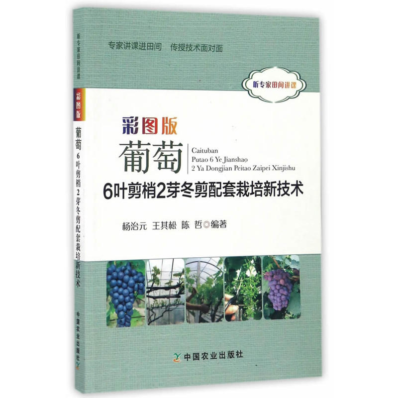 彩图版葡萄6叶剪梢2芽冬剪配套栽培新技术 葡萄种植书籍技术农业种植技术大全书栽培果树管理技术整形修剪种葡萄书水果指导大全