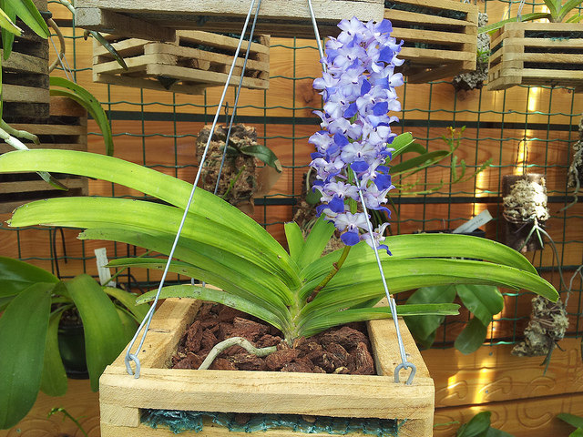 rhy-特价促销-优惠券领取-价格|多少钱|什么牌子好-35优惠券网站