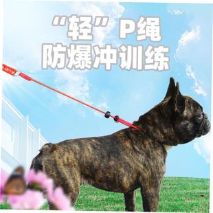 训犬窒息绳P绳 训狗带中大型犬只训练牵引绳狗链控制P链宠物用品