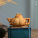 小叶黄杨木雕实木手把件雕刻工艺品装饰摆件礼品把把壶茶宠竹叶壶