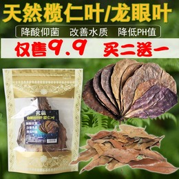 天然晒干懒人叶榄仁叶降低鱼缸PH值降酸调节改善软化水质自然仰菌