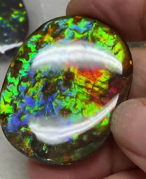 热销斑彩石裸石_加拿大斑彩石裸石 古生物化石 斑彩螺 七彩鹦鹉螺摆件