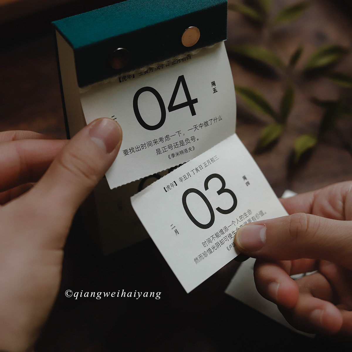 蔷薇海洋励志名言2022年台历365天倒计时高考可撕日历摆件礼物