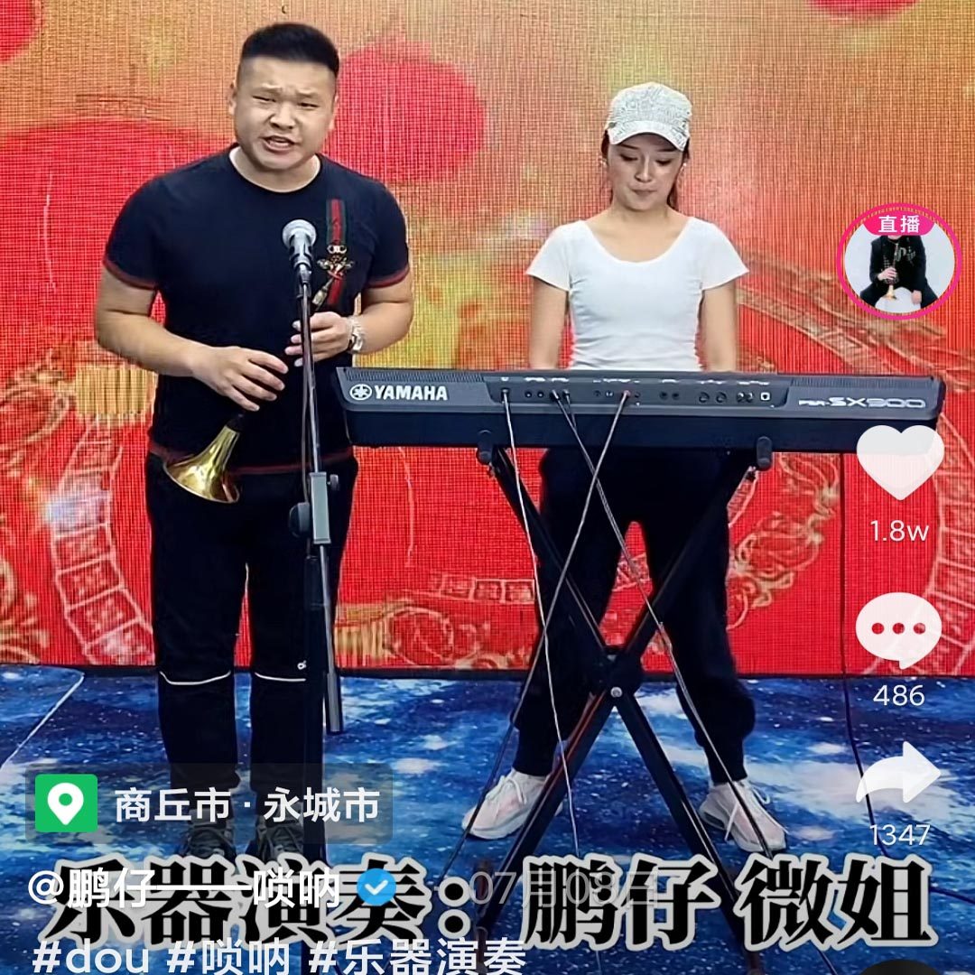 抖音同款鹏仔唢呐车载无损音质u盘