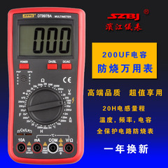 滨江DT9978A数字万用表 自动断电 防烧万能表 可测频率 电感
