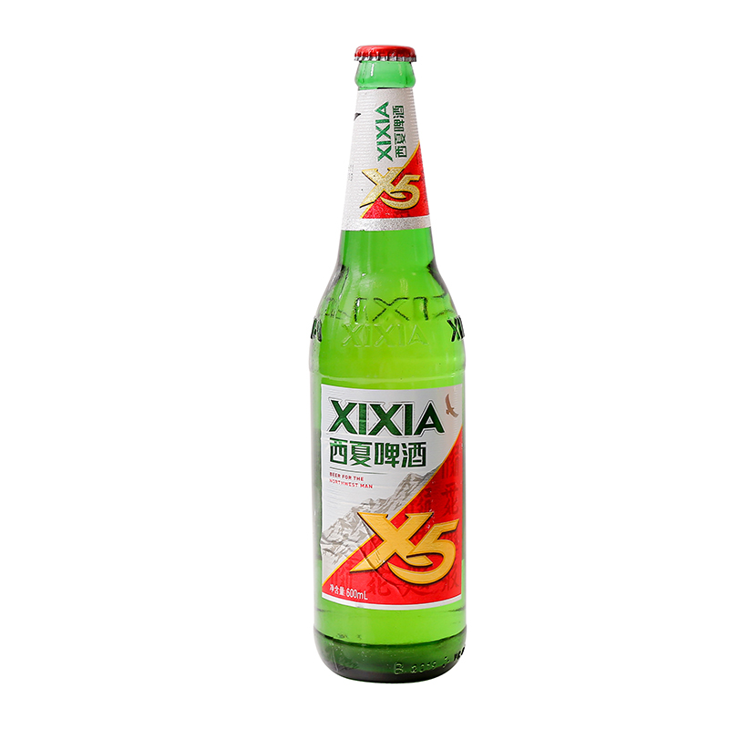 西夏啤酒x5