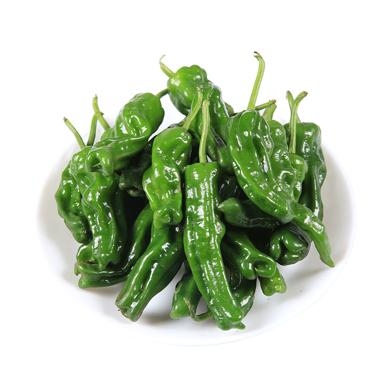 小皱皮椒200g/份青椒蔬菜新鲜入口清新辣椒