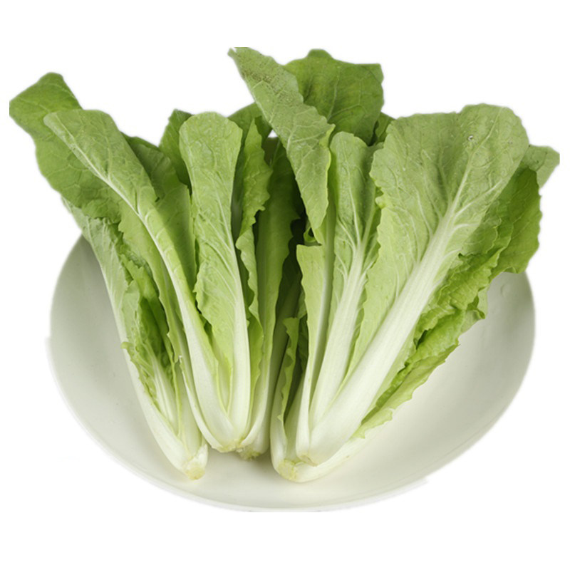天然农耕小白菜200g蔬菜新鲜食用入口清淡