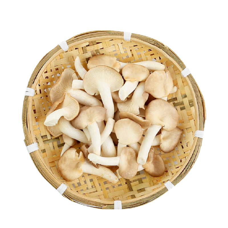 新鲜菌菇大全——其他用品
