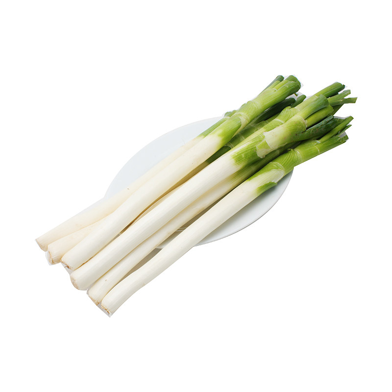 大葱产地直销10斤