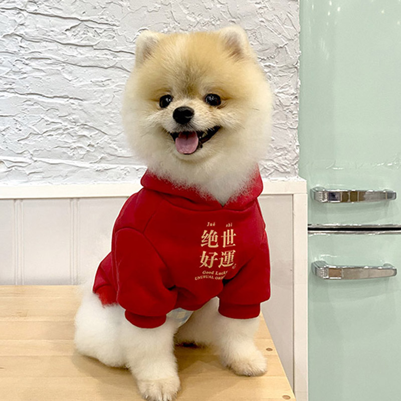 狗狗衣服小型犬宠物衣服潮牌泰迪雪纳瑞猫猫衣服猫咪衣服秋冬卫衣