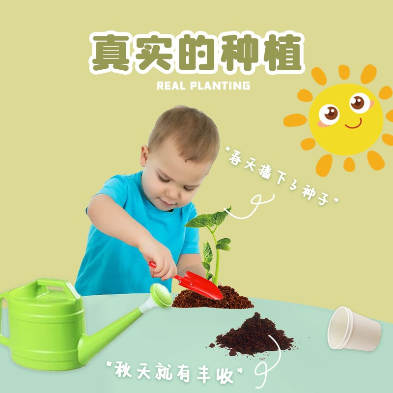 儿童种植箱阳光房玩具盆栽观察力种子绿植种花观察箱科学实验套装