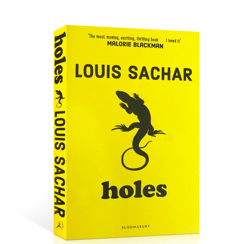 holes英文原版
