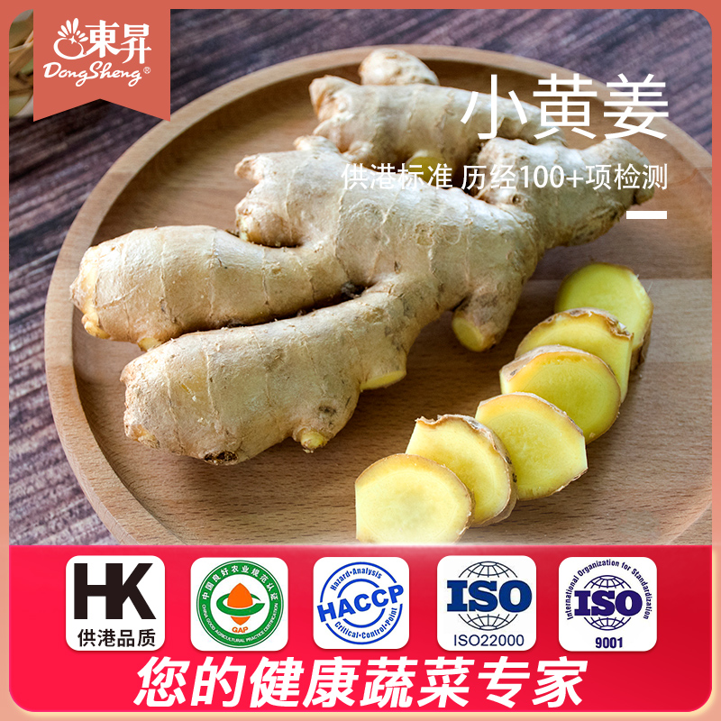 东升农场 新鲜小黄姜 养生 食材 姜 广州新鲜蔬菜配送 250g在类目 水产肉类/新鲜蔬果/熟食, 新鲜蔬菜/蔬菜制品, 生姜中 - 来自Buy2taobao.com提供专业的淘宝代购服务