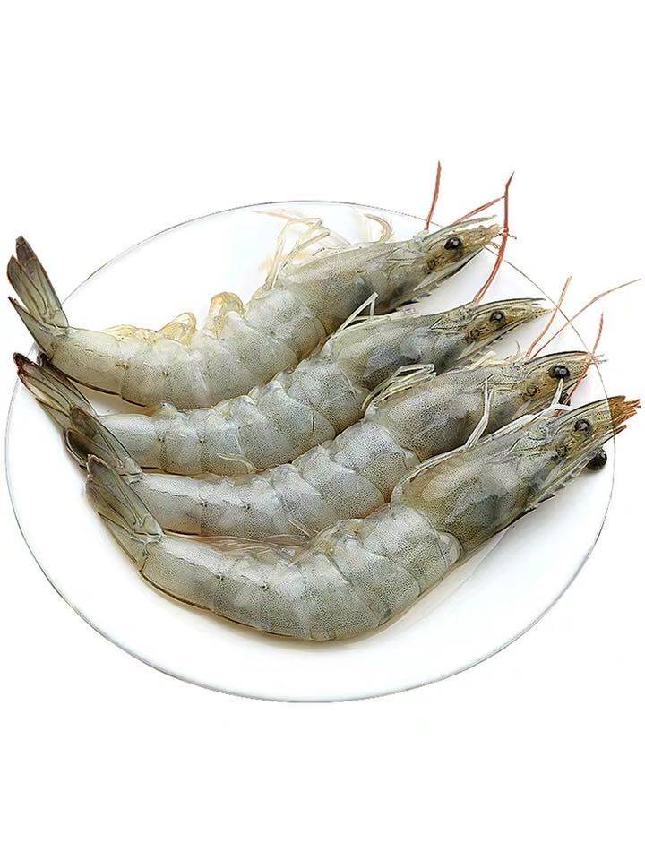 厄尔多瓜白虾 对虾 海之口上新 6条装 跟风之作 优质白虾