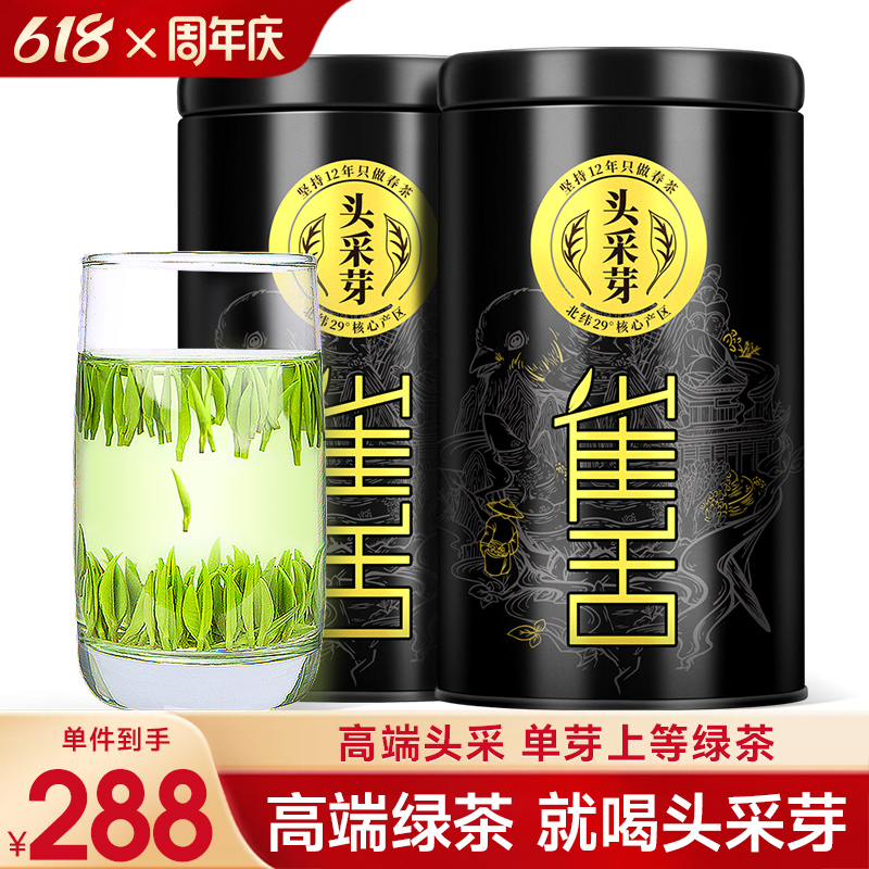 2024新茶头采雀舌嫩芽绿茶特级明