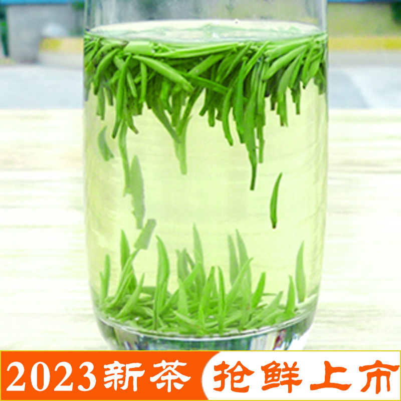 雀舌茶叶绿茶  2023年新茶 四川峨眉山春茶 雨前芽芽银针100g