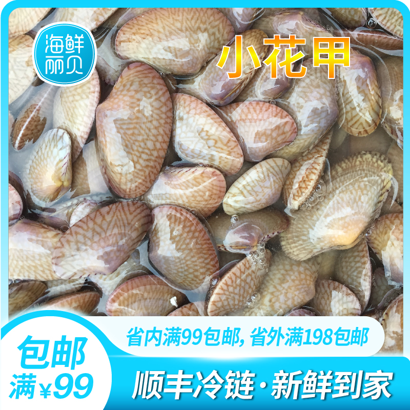 小花甲花蛤沙甲沙蛤蜊海鲜鲜活水产新鲜贝壳类海鲜杂色蛤500g袋装
